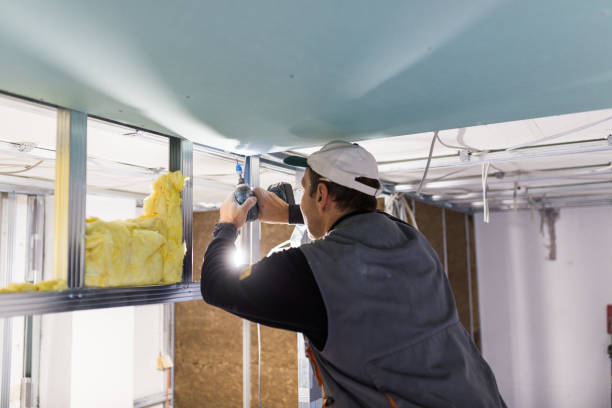 Best Soundproof Insulation  in Milford, IA